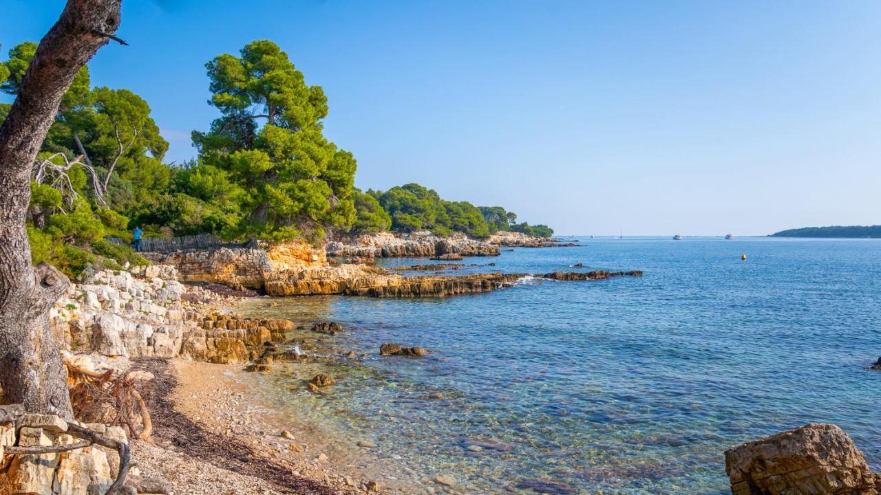 Rez-De-Villa Mougins Exteriör bild